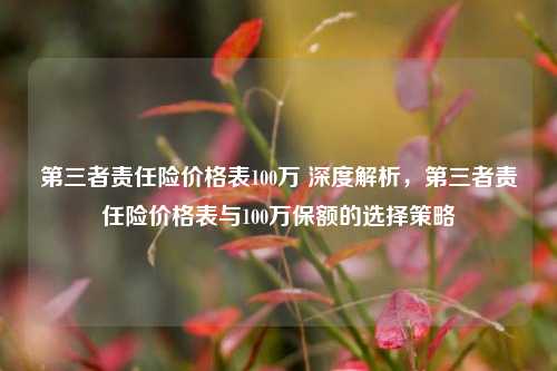 第三者责任险价格表100万 深度解析，第三者责任险价格表与100万保额的选择策略