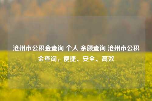 沧州市公积金查询 个人 余额查询 沧州市公积金查询，便捷、安全、高效