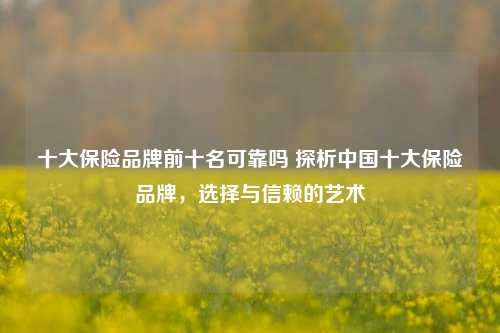 十大保险品牌前十名可靠吗 探析中国十大保险品牌，选择与信赖的艺术