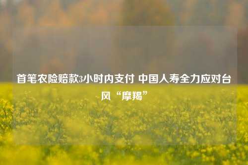 首笔农险赔款3小时内支付 中国人寿全力应对台风“摩羯”