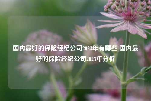 国内最好的保险经纪公司2023年有哪些 国内最好的保险经纪公司2023年分析