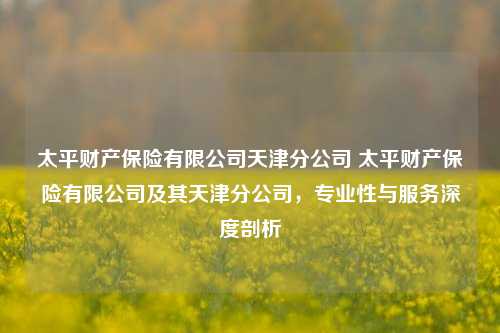 太平财产保险有限公司天津分公司 太平财产保险有限公司及其天津分公司，专业性与服务深度剖析