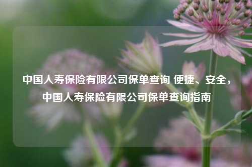 中国人寿保险有限公司保单查询 便捷、安全，中国人寿保险有限公司保单查询指南