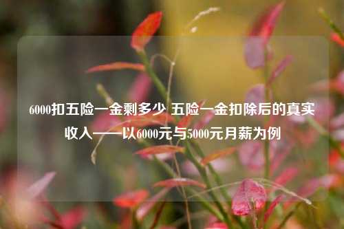 6000扣五险一金剩多少 五险一金扣除后的真实收入——以6000元与5000元月薪为例