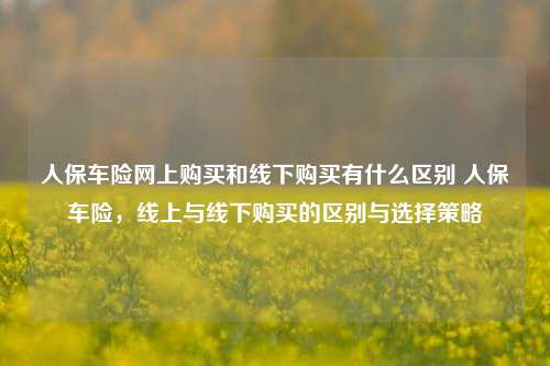 人保车险网上购买和线下购买有什么区别 人保车险，线上与线下购买的区别与选择策略