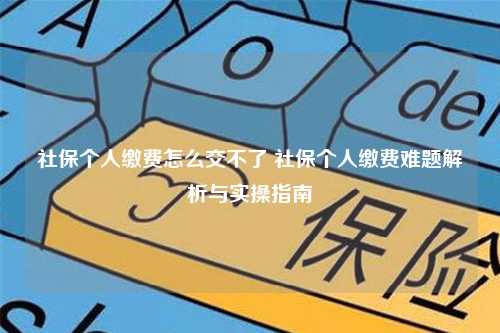 社保个人缴费怎么交不了 社保个人缴费难题解析与实操指南