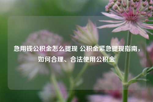 急用钱公积金怎么提现 公积金紧急提现指南，如何合理、合法使用公积金