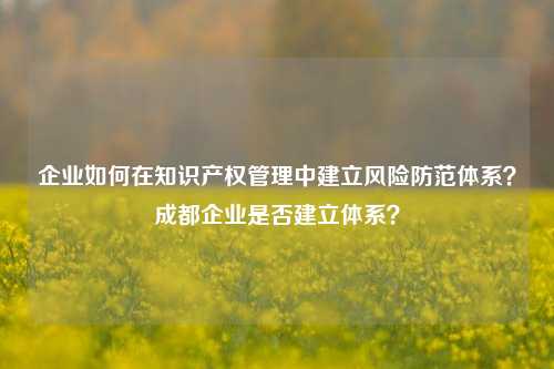 企业如何在知识产权管理中建立风险防范体系？成都企业是否建立体系？