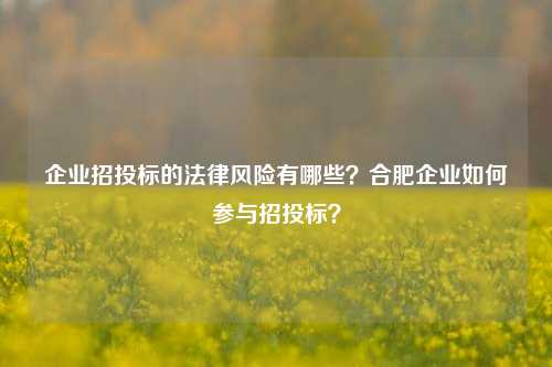 企业招投标的法律风险有哪些？合肥企业如何参与招投标？